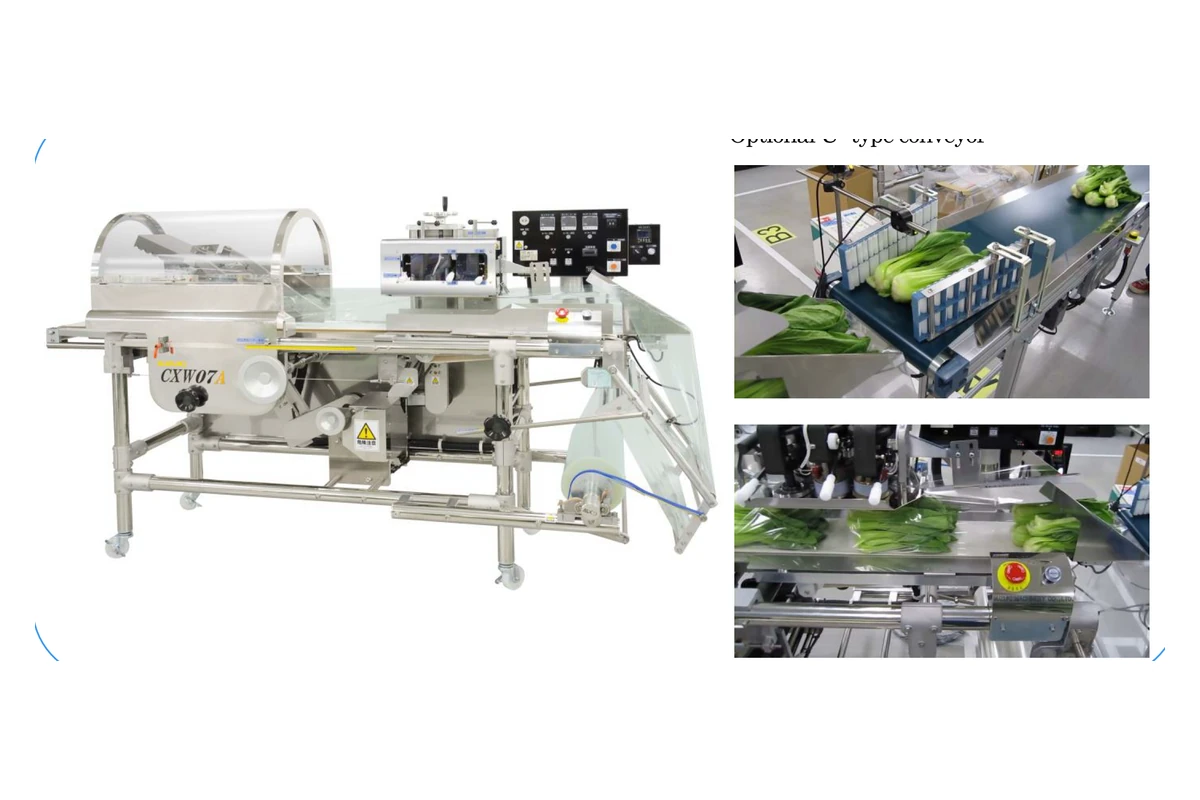 SUZUKI Machinery CXW07A vertical motion reverse pillow packaging machine